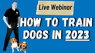 How to train your dog in 2023 - Live Webinar