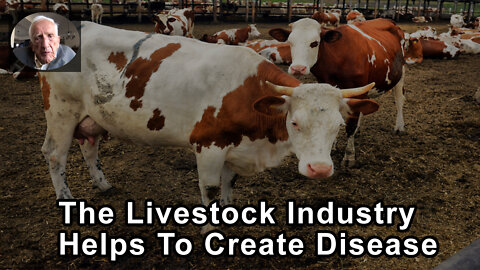 The Livestock Industry Helps To Create Disease Which Turns People Into Customers For The Use Of Drug