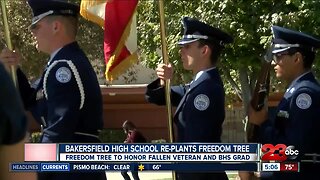 Bakersfield High School re-plants freedom tree