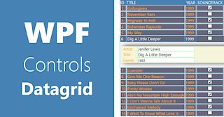 WPF Controls | 27-Datagrid | Search, Filter Rows , Filtering datagrid data| Part 10