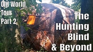 SOLO Bushcraft Wilderness Survival Reality Check