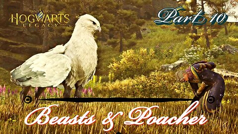 Hogwarts Legacy Walkthrough gameplay Part 10 beasts & Poacher