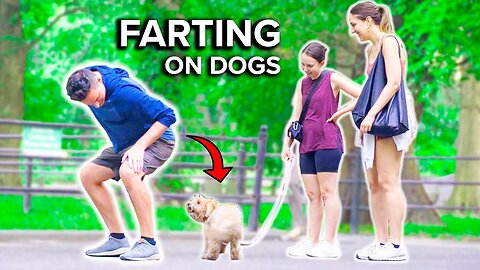 FUNNIEST Wet Fart Prank! Best Dog Reactions!