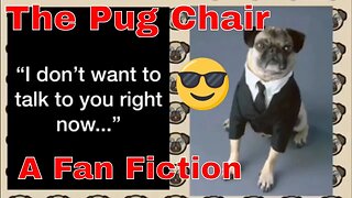 Men in Black Fan Fiction The Pug Chair 🛋