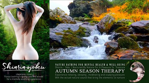 Shinrin-Yoku Bio Music Therapy | Nature Asmr 021 ▶️