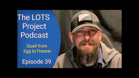 Quail from egg to freezer Episode 39 The LOTS Project Podcast
