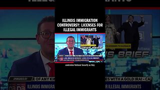 Illinois Immigration Controversy: Licenses for Illegal Immigrants