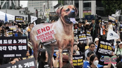 South Korea to ban eating dogs