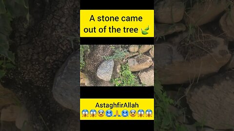 A stone came out of the tree 🍃 #adventure #duckybhai #news #vs #israel #hamasattack #trend