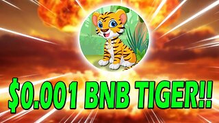 BNB TIGER HOLDERS!! PAY ATTENTION NOW!! THIS IS URGENT!!