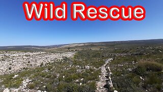 Wild Rescue Private Nature Reserve! S1 - Ep 19 Part 01 of 2