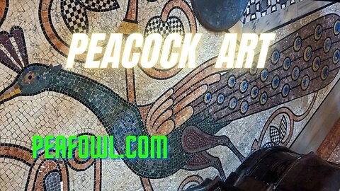 Peacock Art, Peacock Minute, peafowl.com