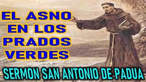 EL ASNO EN LOS PRADOS VERDES - SERMONES SAN ANTONIO DE PADUA