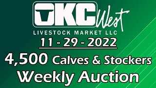 11/29/2022 - OKC West Calf and Stocker Auction