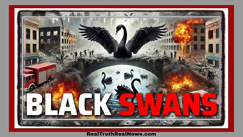 📈 💸 Stock Market Expert Edward Dowd Predicts Multiple Black Swans Ahead of the 2024 Presidential Election