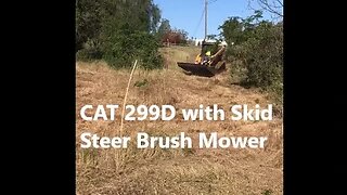 CAT 299D with Skid Steer Brush Mower in Macadamia Grove + CA Oak