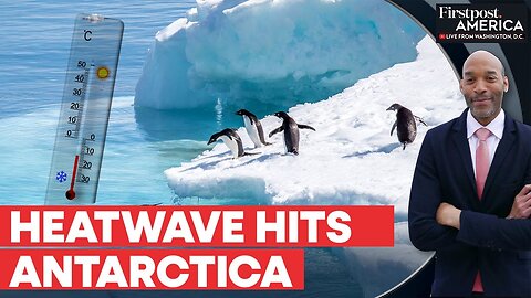 Antarctica's Longest Heatwave Shatters Records, Sparks Climate Alarms | Firspost America