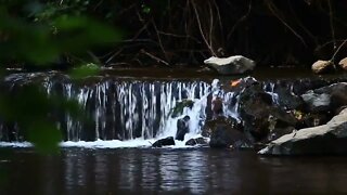 Little Waterfall Stream Sound for Relaxing Mood