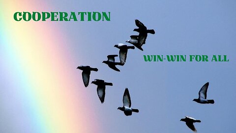 Cooperation - A Win-Win Situation