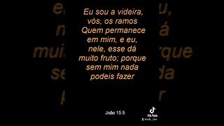 João 15:5