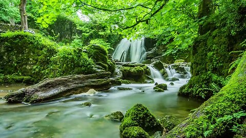 Nature Sound of Amazon Rainforest and Meditation Relaxing Music #DeepRelaxationCh
