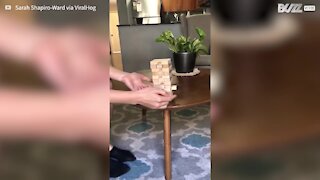 Woman plays Jenga with her dog