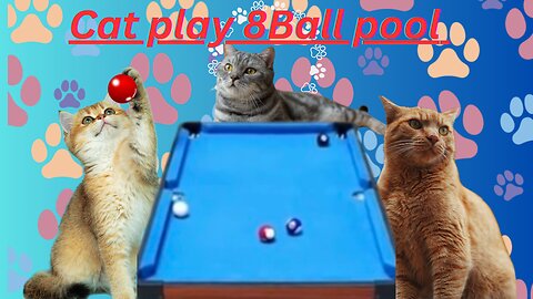 Cute cat play 8 ball 🎱 pool | legendary 8Ball pool