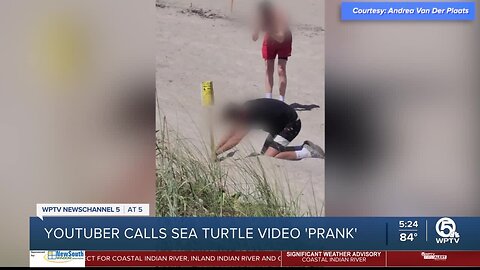 Video appearing to show tampering with a turtle nest was fake prank, teen says