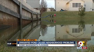 Unwanted pond causing neighborhood problems