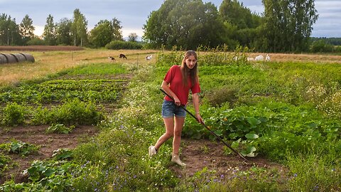 Growing our Own Food isn't EASY!?