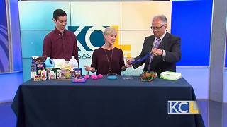 KC KidsFest this weekend