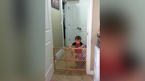 Mission Impossible: Baby Gate Escape