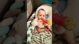 Cute Baby Boy Playing In Travel Cot