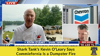 Shark Tank's Kevin O'Leary Says Commiefornia Is a Dumpster Fire