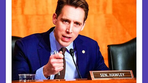 Hawley Responds To Panda Party Thre4ts 🟠⚪🟣 NPC Politics