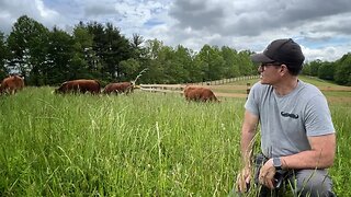 Rotational grazing & baby chickens (#126)