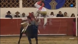 Matador's Crotch Takes Bull By The Horns In Gruesome Video