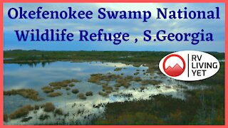 Did We Find The Swamp Thing ? Okefenokee Swamp National Wildlife Refuge