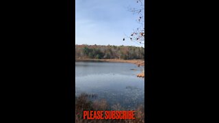 Sunny Pond Overlook