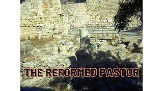 The Reformed Pastor