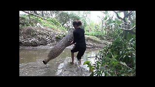 Catching wild fish | Use the giant basket to catch fish stranded in the lake