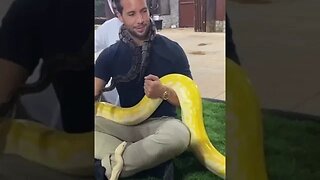 Do you like snakes?