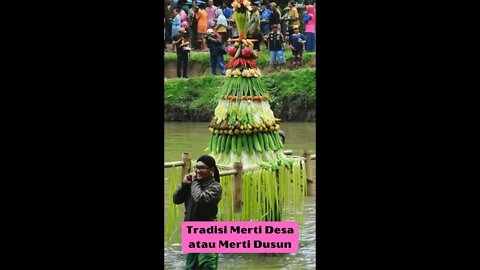 Peringatan Merti Desa / Dusun #Shorts