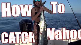 The EXACT method How I catch this HUGE wahoo {catch and cook}