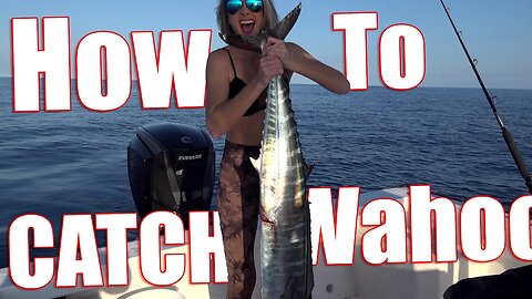 The EXACT method How I catch this HUGE wahoo {catch and cook}