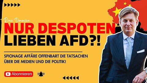 AfD-Spionage-Skandal: AFD = Ausspähen für Despoten! Entspricht das wirklich den Tatsachen?