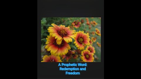 Prophetic Vision: Redemption for Families