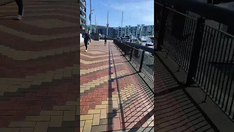 Viaduct Harbour Auckland City. My daily commute (1)