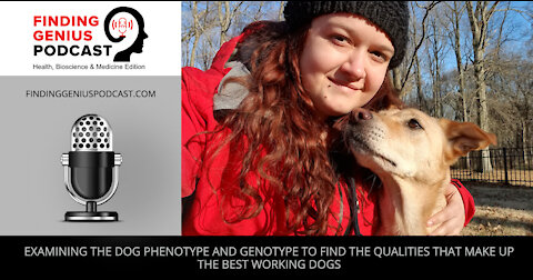 Examining the Dog Phenotype and Genotype