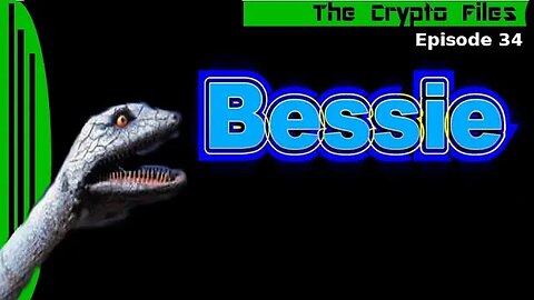 The Crypto Files | Bessie | Ep34